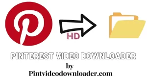 Download Pinterest Videos On Your Phone Or PC